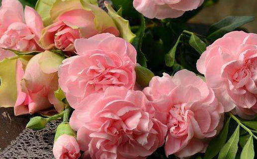 2025年农历四月初三是不是领证吉日 今日领证好吗 2025年农历四月初三是不是领证吉日 今日领证好吗