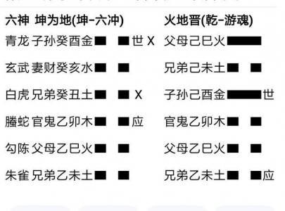六爻两变爻(六爻中的变爻怎么确定)