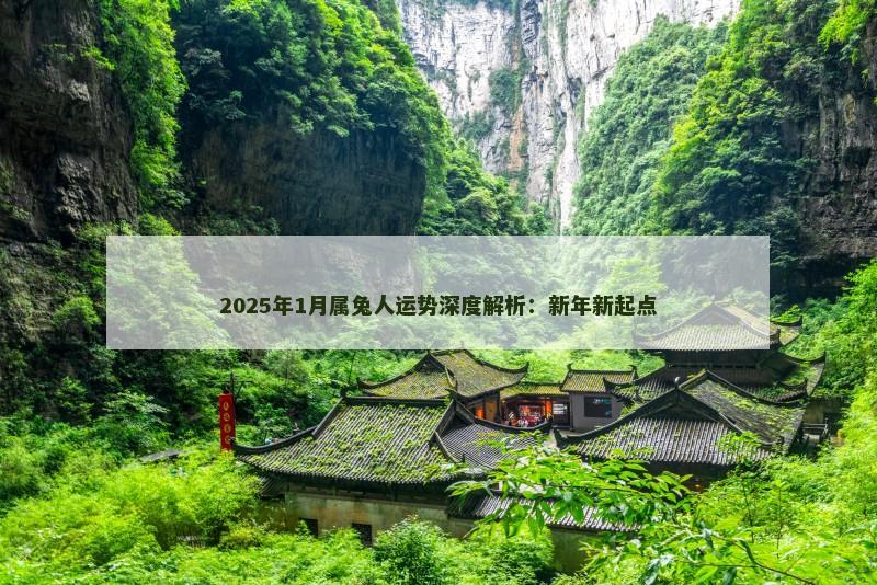 2025年1月属兔人运势深度解析：新年新起点