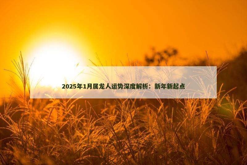 2025年1月属龙人运势深度解析：新年新起点