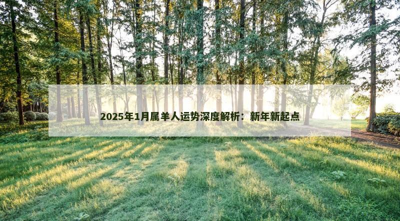 2025年1月属羊人运势深度解析：新年新起点