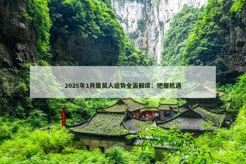 2025年1月属鼠人运势全面解读：把握机遇