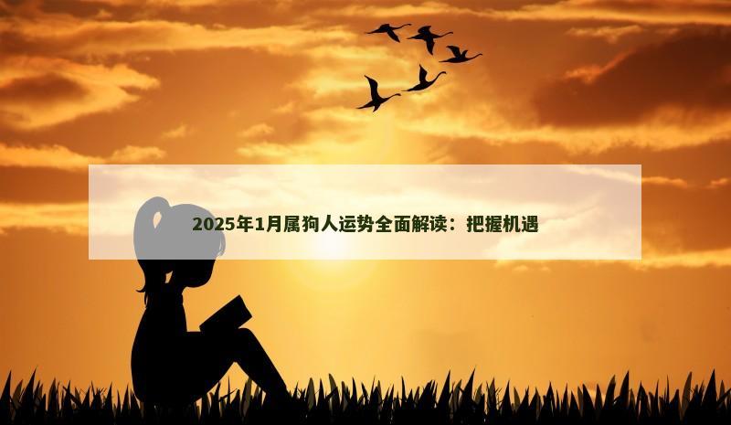 2025年1月属狗人运势全面解读：把握机遇