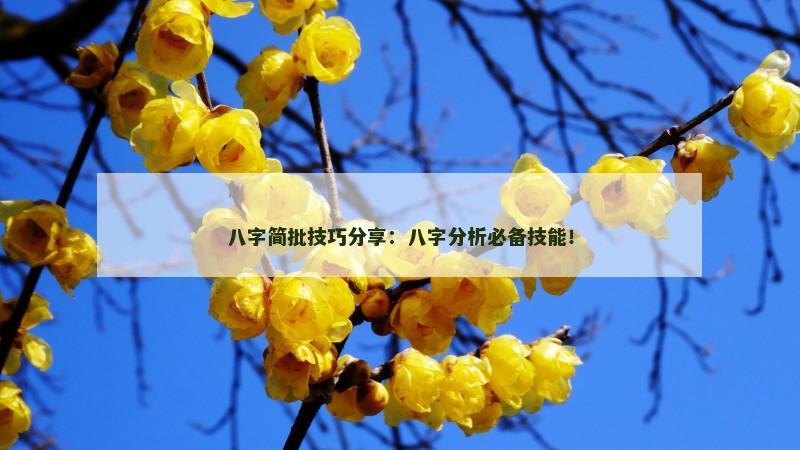 八字简批技巧分享：八字分析必备技能！