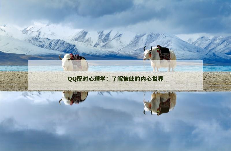 QQ配对心理学：了解彼此的内心世界