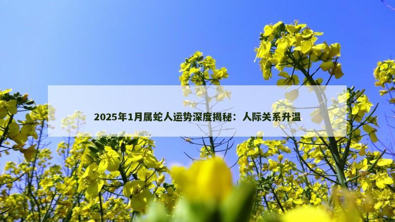 2025年1月属蛇人运势深度揭秘：人际关系升温