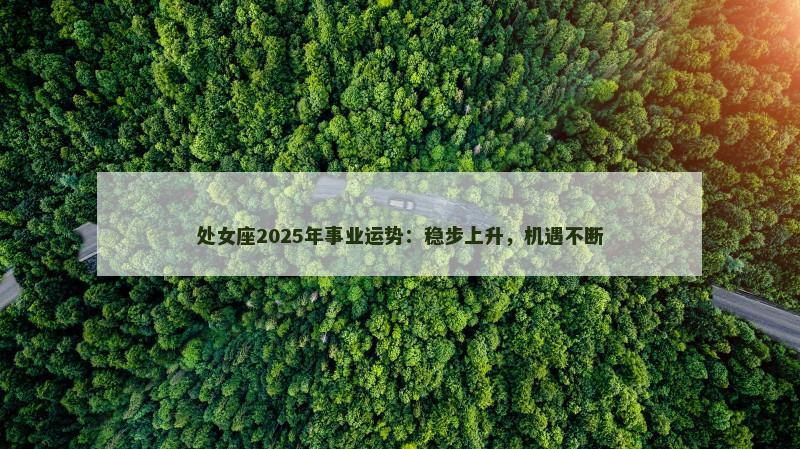 处女座2025年事业运势：稳步上升，机遇不断