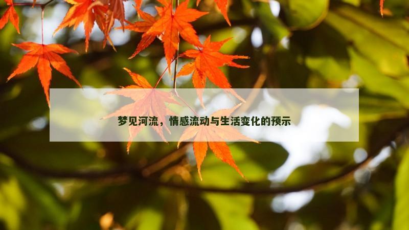 梦见河流，情感流动与生活变化的预示