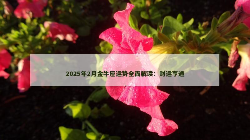 2025年2月金牛座运势全面解读：财运亨通