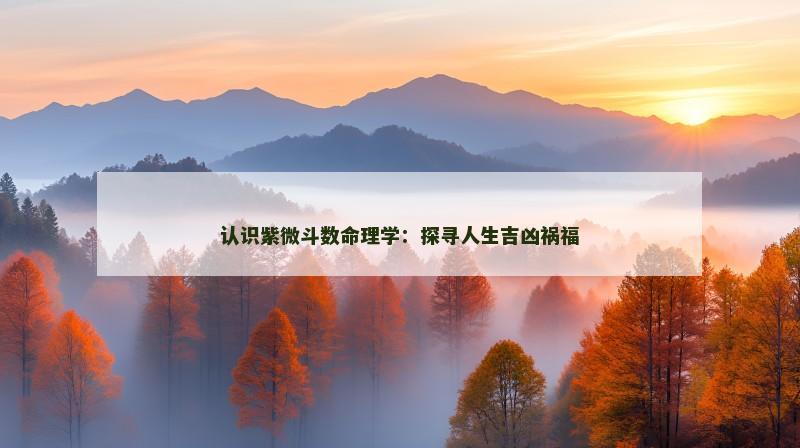 认识紫微斗数命理学：探寻人生吉凶祸福