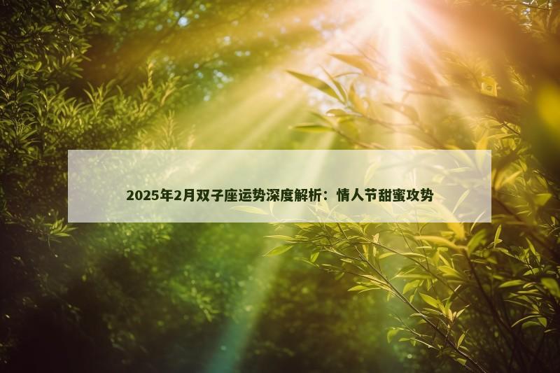 2025年2月双子座运势深度解析：情人节甜蜜攻势