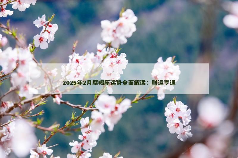 2025年2月摩羯座运势全面解读：财运亨通