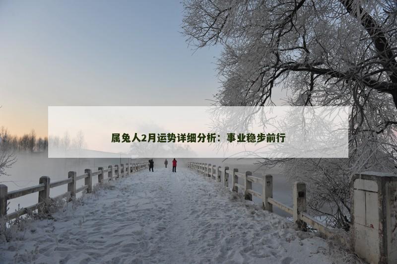 属兔人2月运势详细分析：事业稳步前行