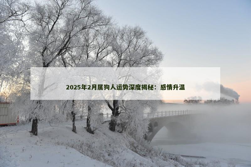 2025年2月属狗人运势深度揭秘：感情升温