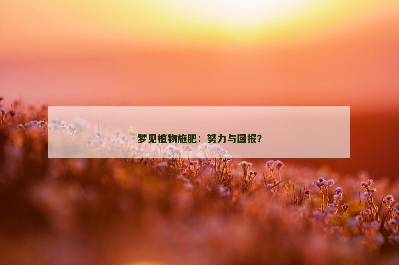 梦见植物施肥：努力与回报？