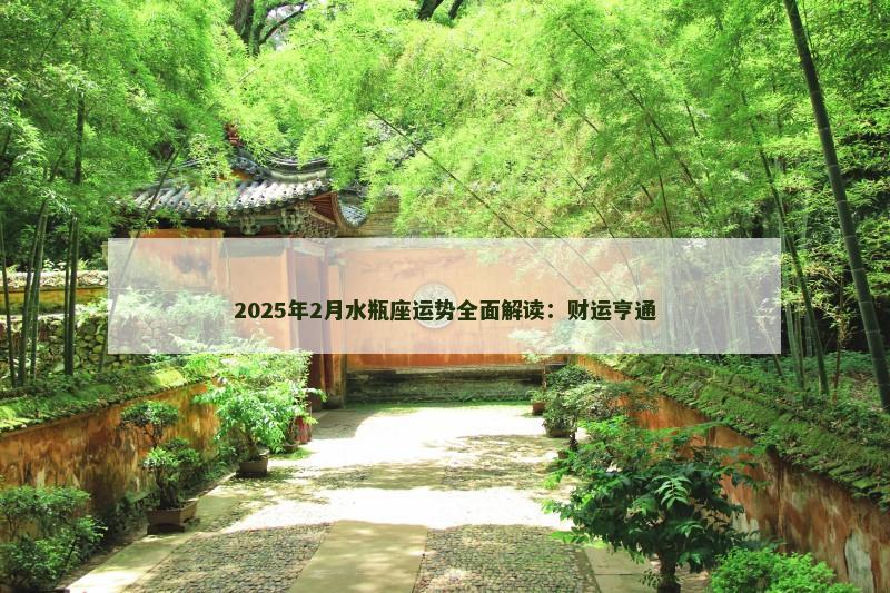 2025年2月水瓶座运势全面解读：财运亨通