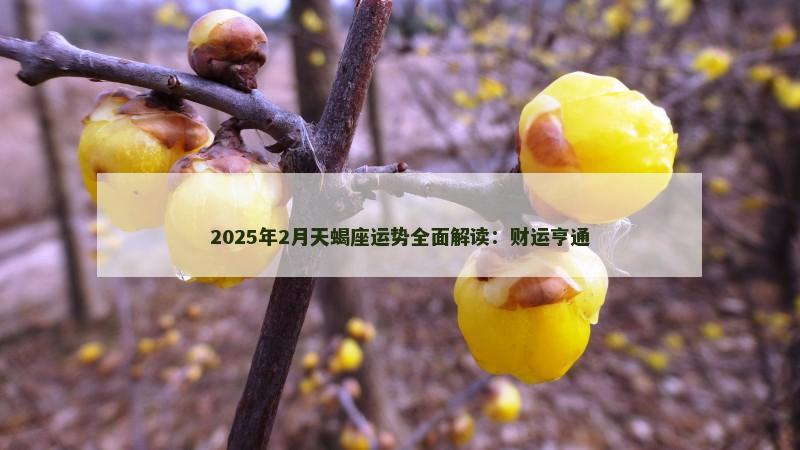 2025年2月天蝎座运势全面解读：财运亨通