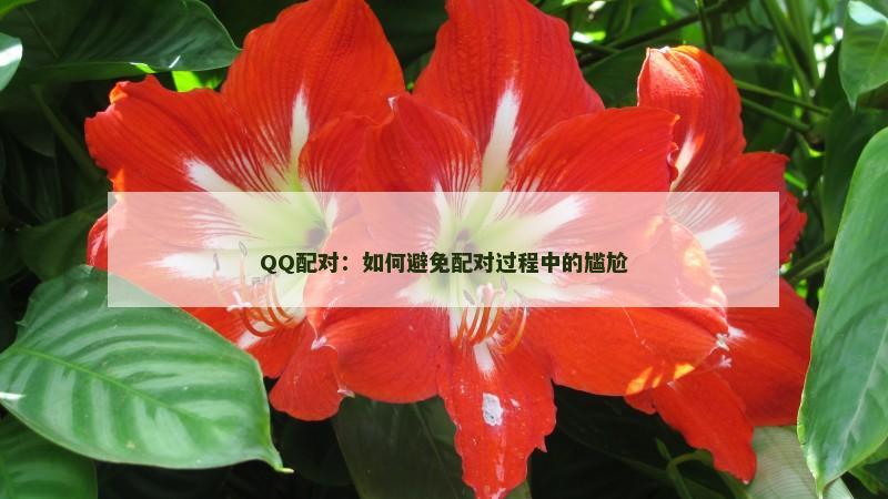 QQ配对：如何避免配对过程中的尴尬