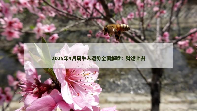 2025年4月属牛人运势全面解读：财运上升