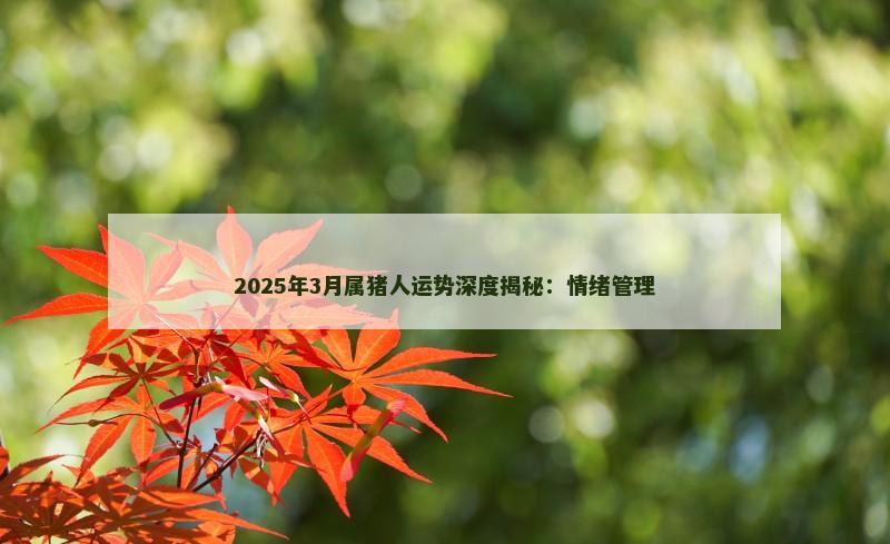 2025年3月属猪人运势深度揭秘：情绪管理