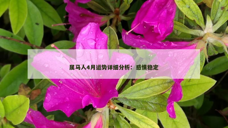 属马人4月运势详细分析：感情稳定