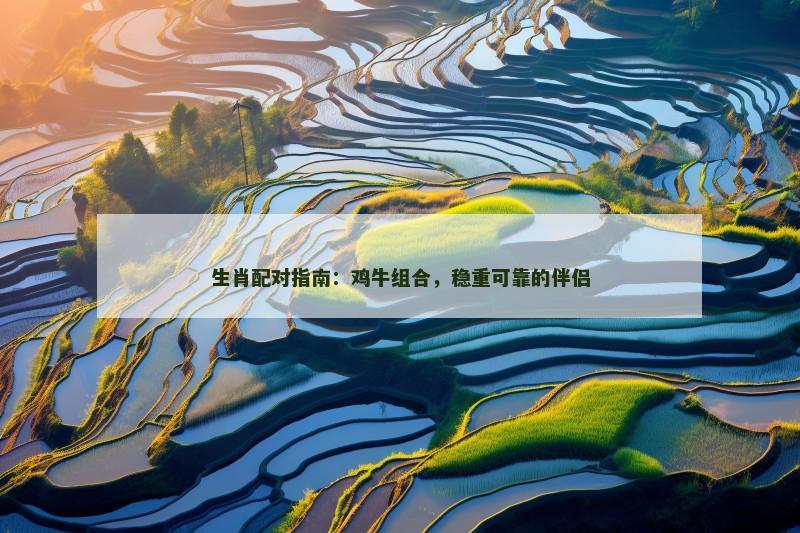 生肖配对指南：鸡牛组合，稳重可靠的伴侣