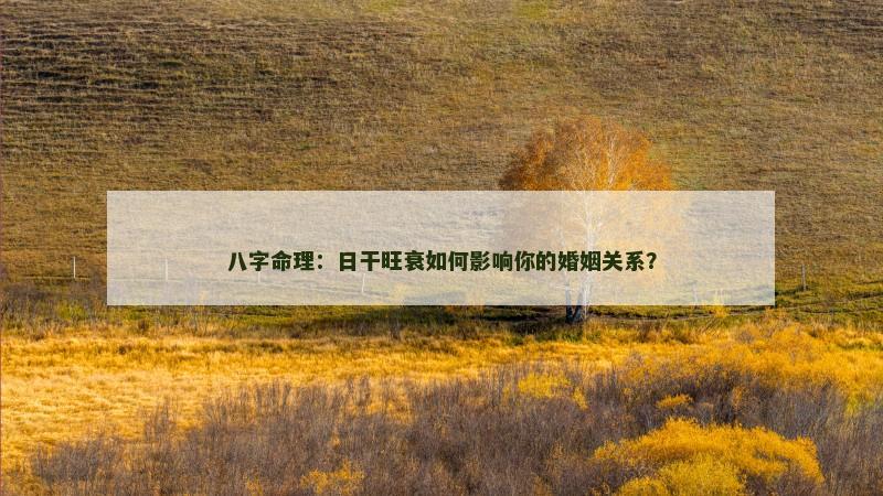 八字命理：日干旺衰如何影响你的婚姻关系？