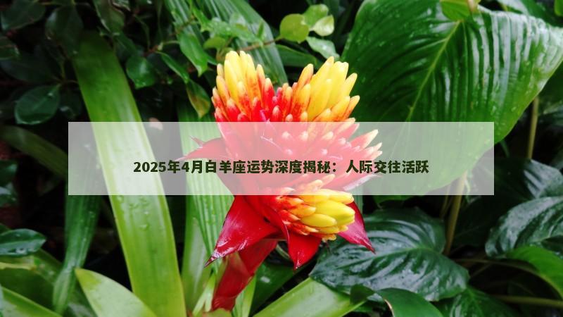 2025年4月白羊座运势深度揭秘：人际交往活跃