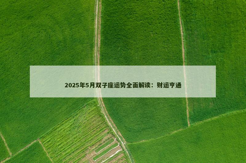 2025年5月双子座运势全面解读：财运亨通