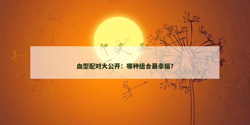 血型配对大公开：哪种组合最幸福？