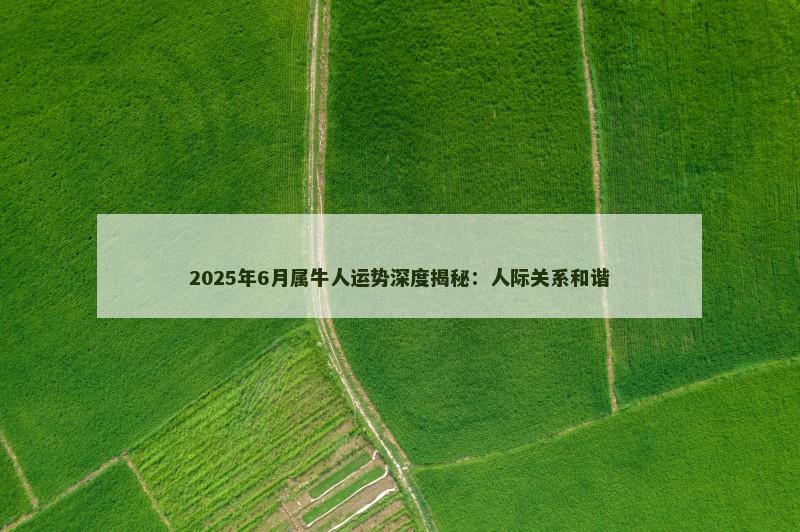 2025年6月属牛人运势深度揭秘：人际关系和谐