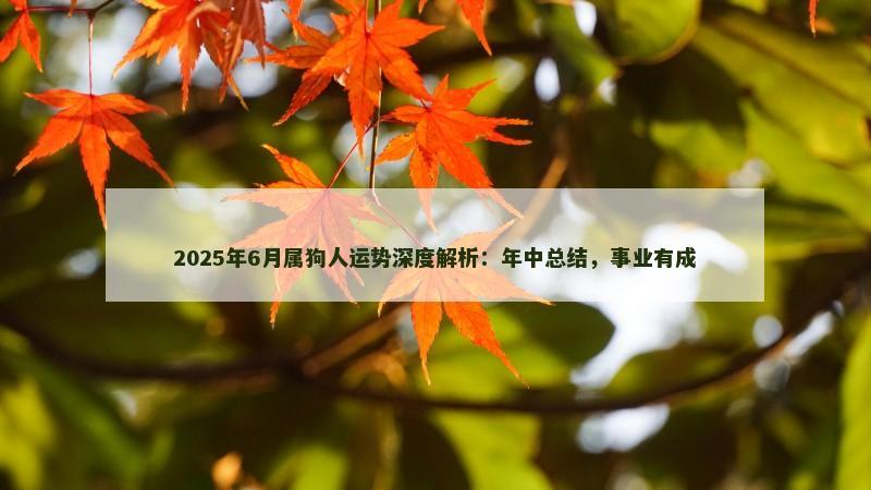 2025年6月属狗人运势深度解析：年中总结，事业有成