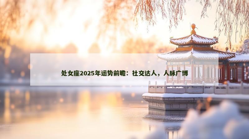 处女座2025年运势前瞻：社交达人，人脉广博