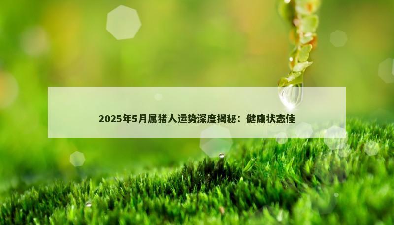 2025年5月属猪人运势深度揭秘：健康状态佳