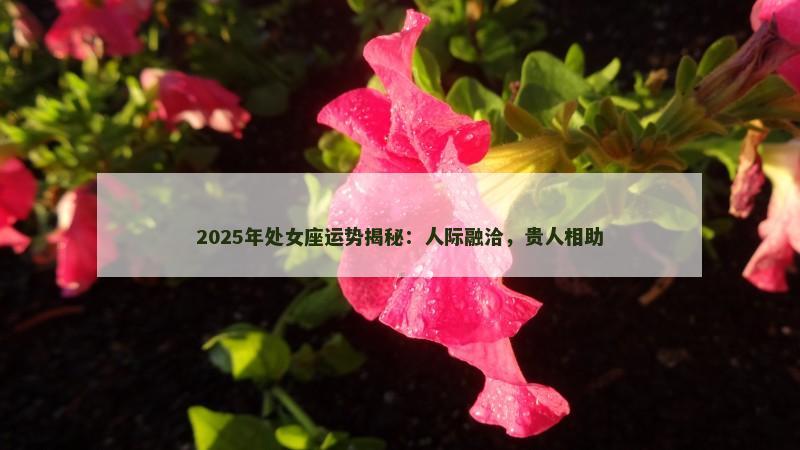 2025年处女座运势揭秘：人际融洽，贵人相助