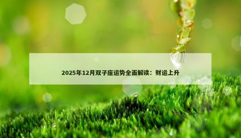 2025年12月双子座运势全面解读:财运上升