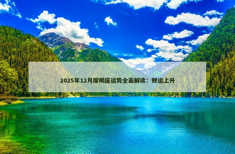 2025年12月摩羯座运势全面解读:财运上升
