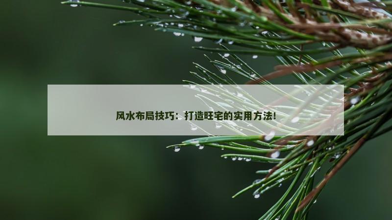 风水布局技巧:打造旺宅的实用方法!