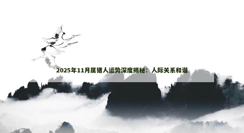 2025年11月属猪人运势深度揭秘:人际关系和谐