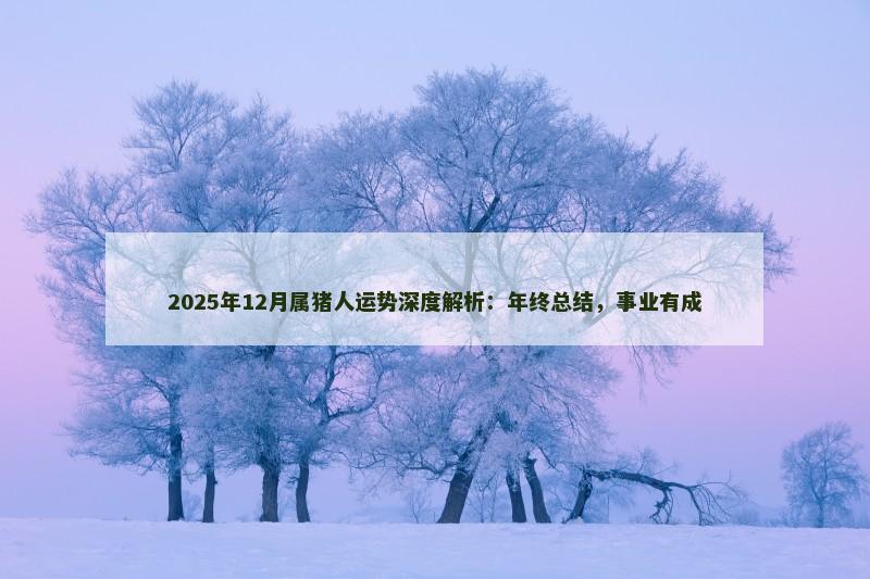 2025年12月属猪人运势深度解析:年终总结,事业有成