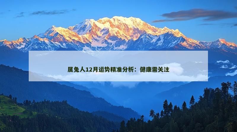 属兔人12月运势精准分析:健康需关注