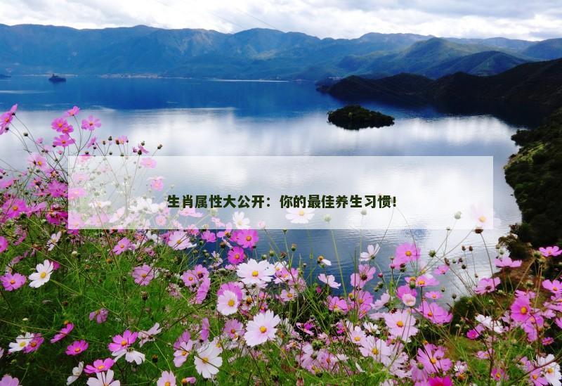 生肖属性大公开:你的最佳养生习惯!