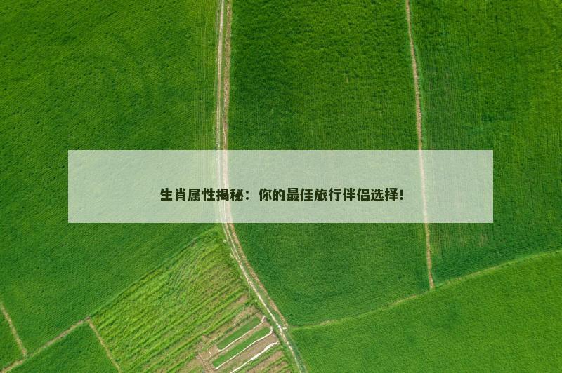 生肖属性揭秘:你的最佳旅行伴侣选择!