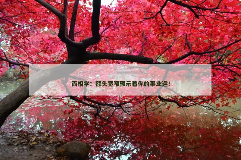面相学:额头宽窄预示着你的事业运!
