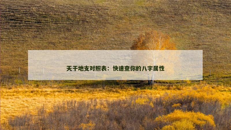 天干地支对照表:快速查你的八字属性