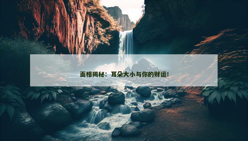面相揭秘:耳朵大小与你的财运!