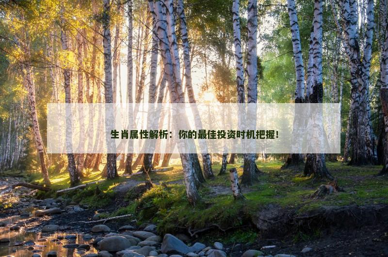 生肖属性解析:你的最佳投资时机把握!