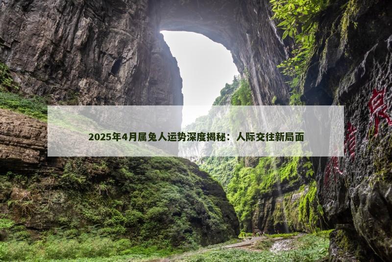 2025年4月属兔人运势深度揭秘:人际交往新局面