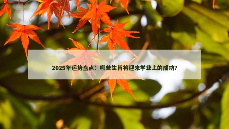 2025年运势盘点:哪些生肖将迎来学业上的成功?