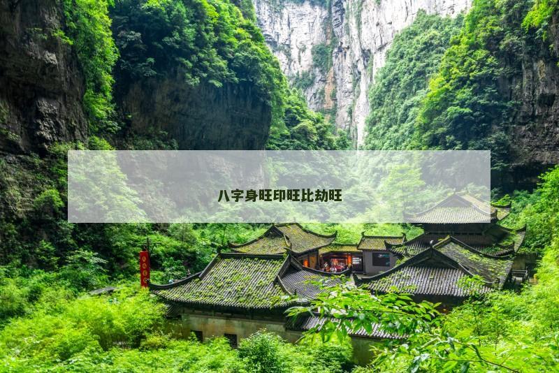 八字身旺印旺比劫旺